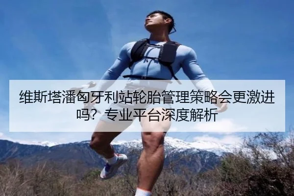 维斯塔潘匈牙利站轮胎管理策略会更激进吗？专业平台深度解析